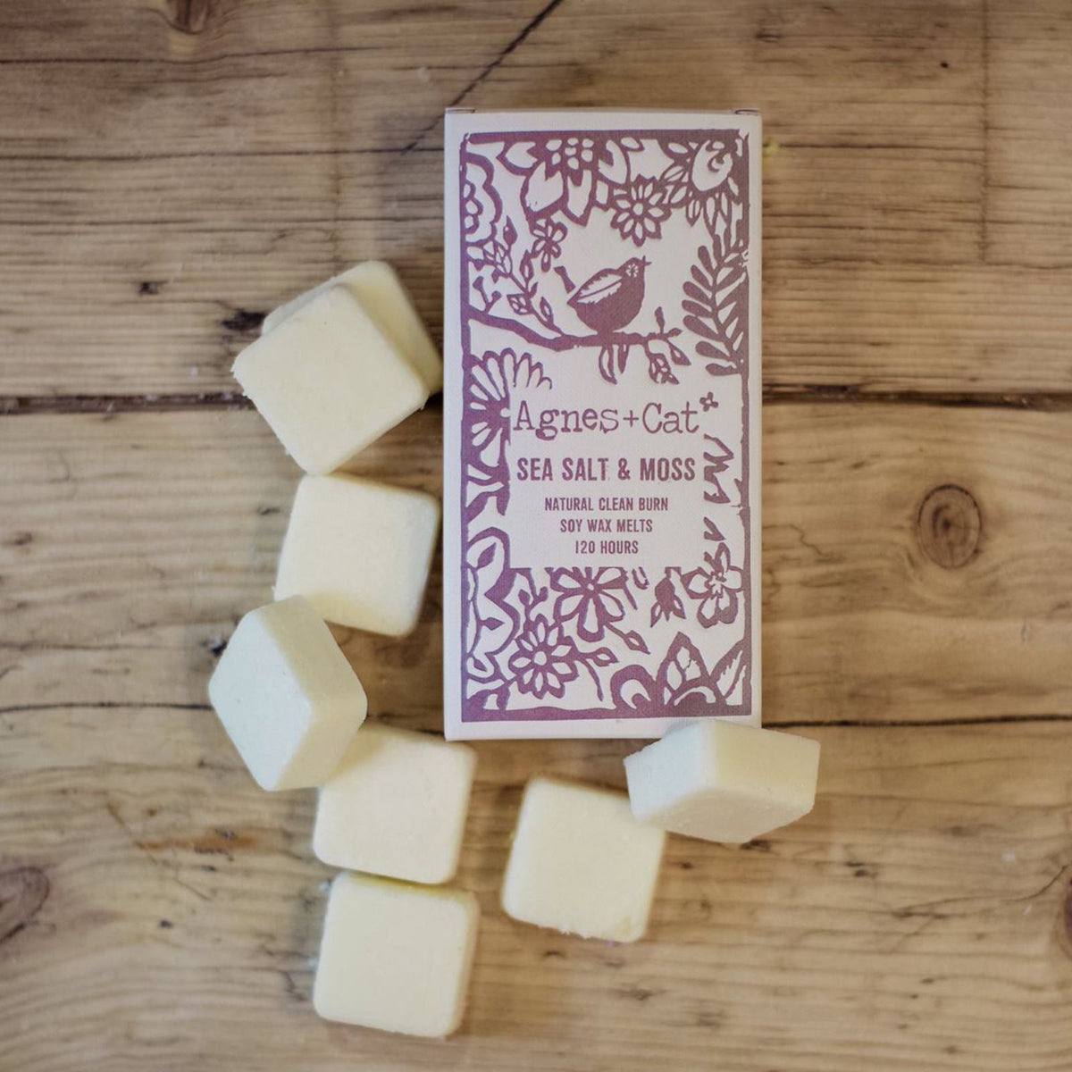 Agnes + Cat Box of 8 Wax Melts - Seasalt + Moss