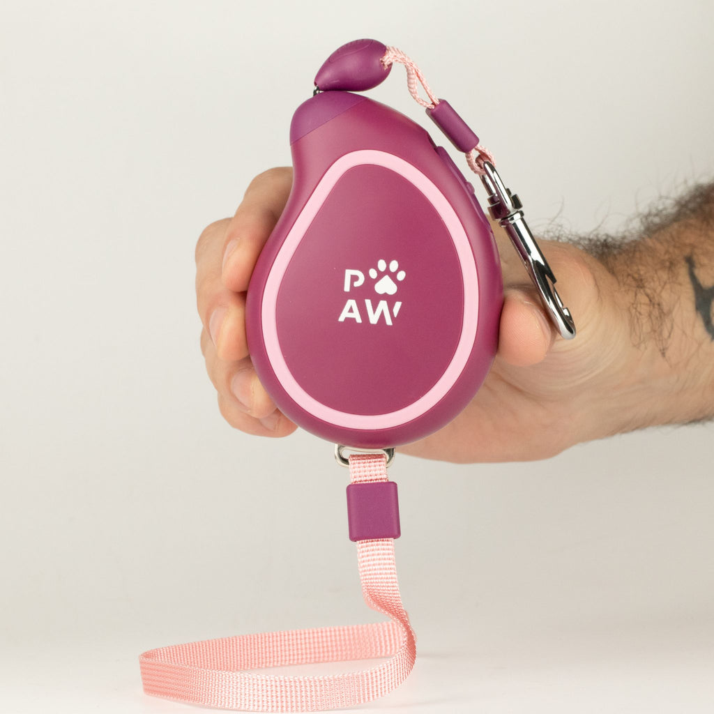 Paw Pet Lead - Mini Mango - Plum - 3m