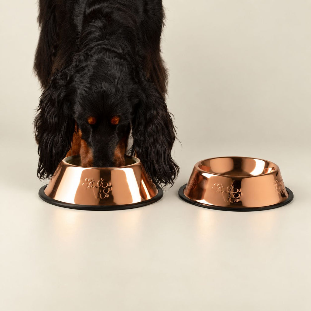PAW Food Bowls - Single Copper Style - 18cm - Stainless Steel (304)