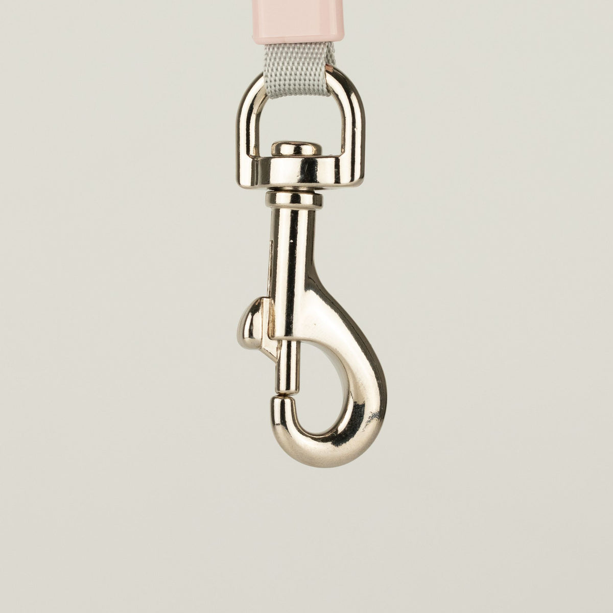 Paw Pet Lead - Mini Mango - Plum - 3m