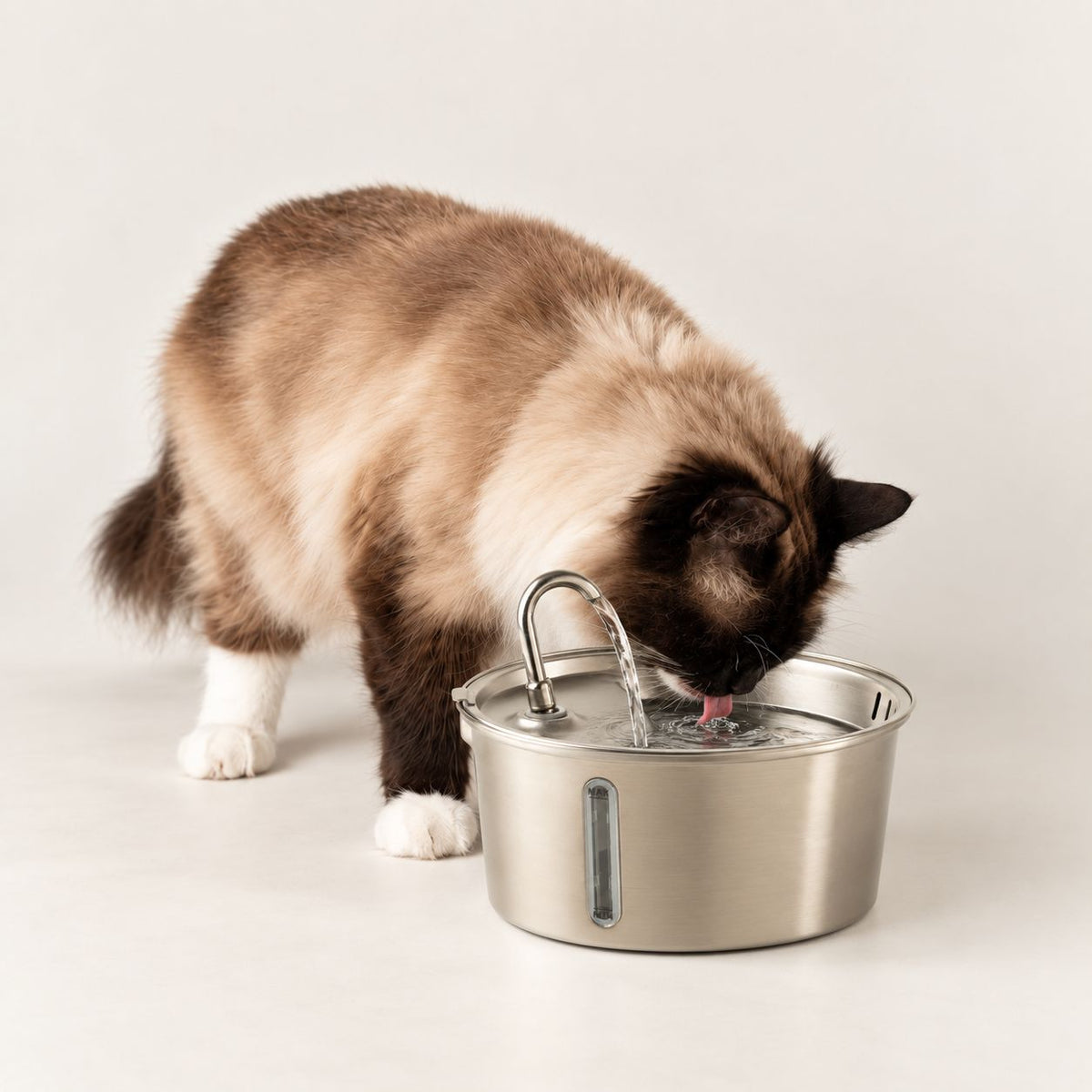 PAW Food Bowls - Electric Water Fountain 2.5 Litre - USB - Stainless Steel (304)