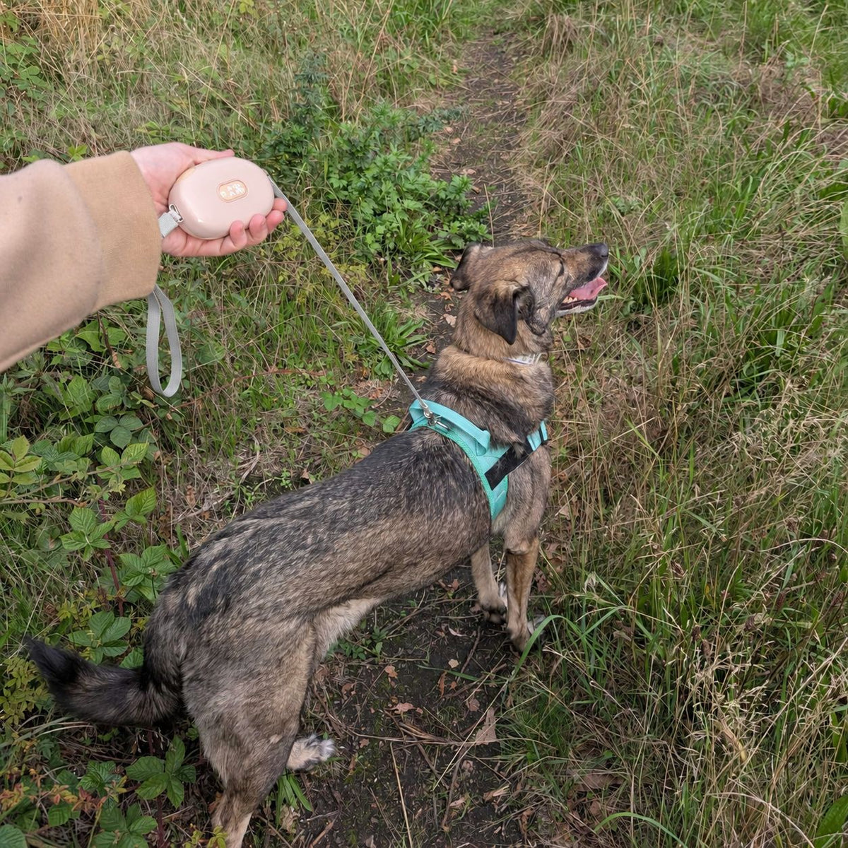 Paw Pet Lead - Pocket Pod - Pink - 1.5m