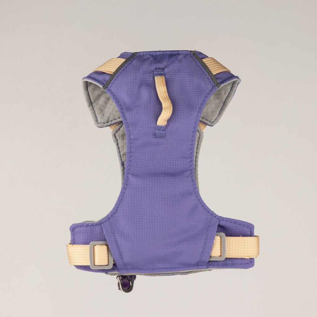 PAW - XS (2-4Kg) Dog Step-in Guardian Harness with Reflective Mesh - Lavender - Amethyst Charm