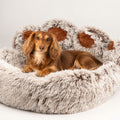 PAW Bed – Large Big Paw – 70cm
