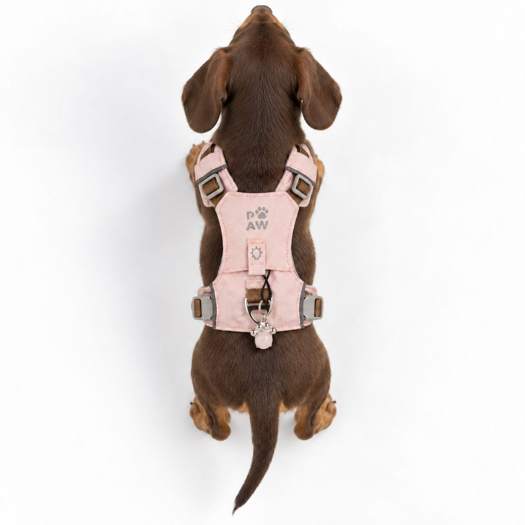 PAW - XS (2-4Kg) Dog Step-in Guardian Harness with Reflective Mesh - Soft Pink - Rose Quartz Charm