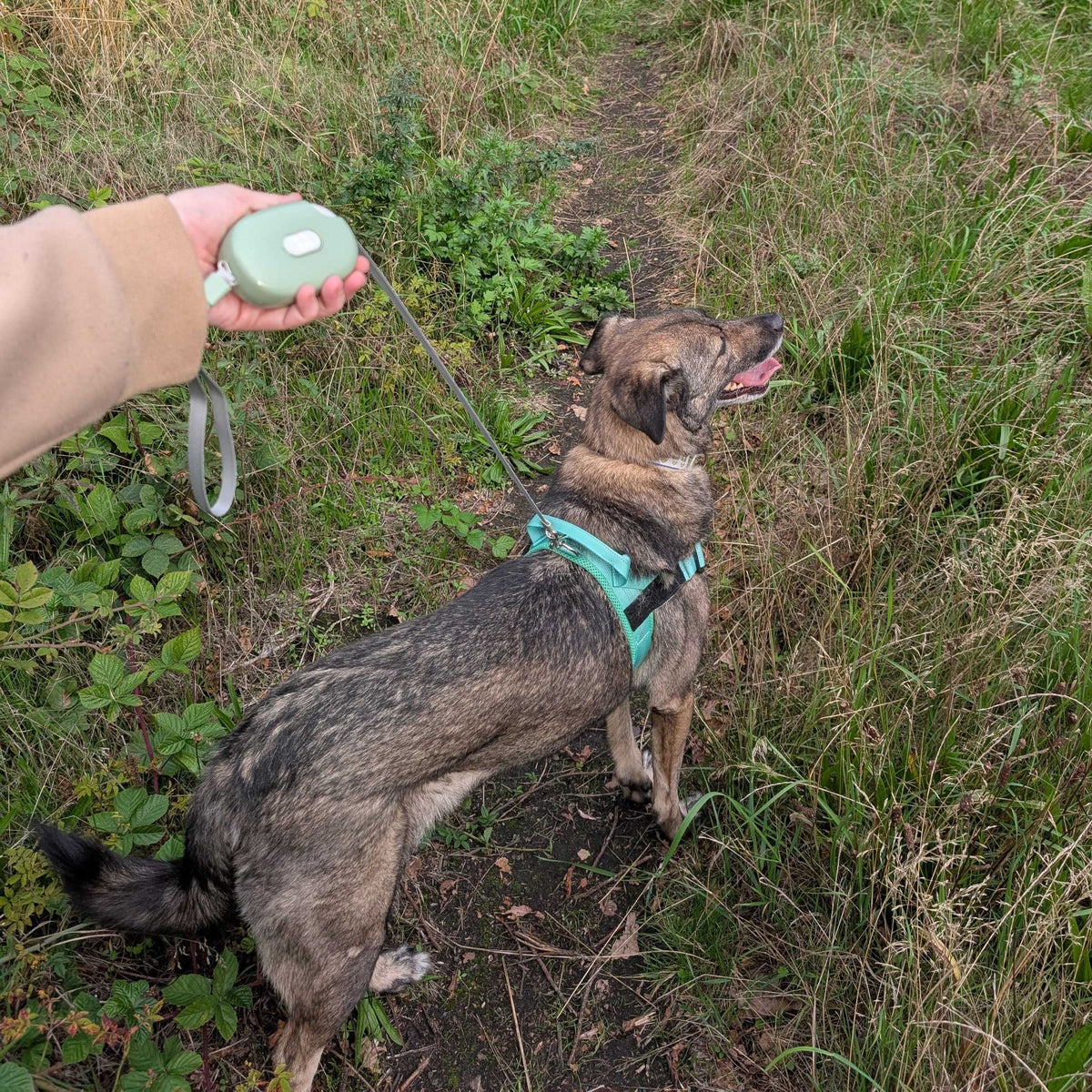 Paw Pet Lead - Pocket Pod - Green - 1.5m