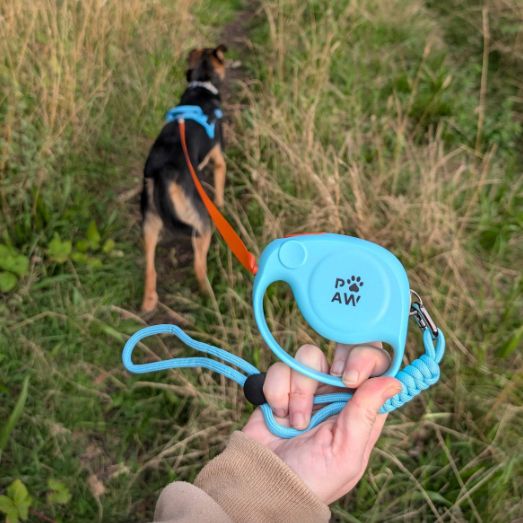 Paw Pet Lead - Elephant Strap - Blue - 2m